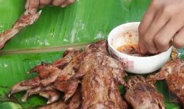 Vì sao động vật hoang dã có thể ăn sống mọi lúc, còn con người lại hay mắc bệnh khi ăn sống? 