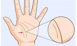 Đặc điểm tướng tay của người phụ nữ khổ mà không phúc?