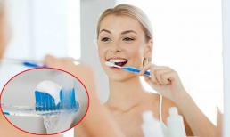Nhúng kem đánh răng vào nước trước khi đánh răng có đúng không? Chỉ bạn cách đánh răng đúng