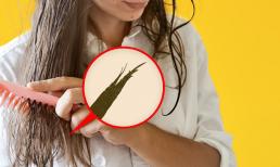 Mẹo chăm sóc ngọn tóc, 'cứu rỗi' mái tóc hư tổn, xơ rối trong ngày hè 