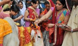 Người Ấn Độ không ăn thịt lợn hay thịt bò, vậy họ ăn loại thịt nào? Cư dân mạng: Tôi không thể tin được