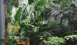 Trồng cây bắt đầu từ việc chọn đất! Làm thế nào để làm cho đất phù hợp với các loại cây khác nhau?