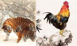 3 cặp con giáp thích hợp thành đôi, phát tài phát lộc nhưng không hợp làm bạn bè, dễ xảy ra mâu thuẫn