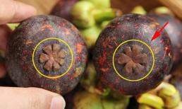 Chọn mua măng cụt - 'nữ hoàng của các loại quả', học ngay kinh nghiệm của người trồng để 10 quả ngon cả 10 