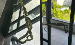 Thuê resort 60 triệu/đêm, khách vip hoảng hồn chứng kiến cảnh 'bé na' đu đưa ở cửa