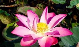 3 dấu hiệu này xuất hiện 'tưởng hoạ mà phúc', chính là quý nhân phù trợ, tuổi già gặp nhiều may mắn