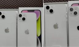 Tại sao sinh viên đại học thích dùng iPhone14 thay vì iPhone14ProMax?
