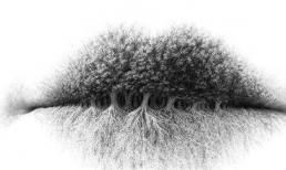 Trắc nghiệm tâm lý: điều đầu tiên bạn nhìn thấy là gì? Hãy xem trái tim bạn có trong sáng không