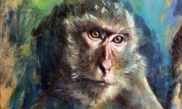 Cuối tuần này (6/5 - 7/5): top 3 con giáp may mắn gõ cửa, chuyện vui tới tấp, tình tiền đều rực rỡ ai cũng ghen tỵ