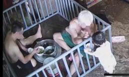 Check camera từ chỗ làm, vợ cười nghiêng ngả trước cảnh bố chồng và chồng chăm con