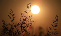 Đối với những người sinh vào những giờ này, nam sẽ thành đạt trong sự nghiệp, nữ sẽ lấy được chồng giàu có, giỏi giang