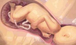 Sáu bức ảnh chứng kiến toàn bộ quá trình sinh nở tự nhiên của người phụ nữ, đấng mày râu rơi nước mắt khi xem!