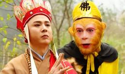 Đường Tăng bất tài như vậy, tại sao Tôn Ngộ Không cứ phải phò Đường Tăng đi lấy kinh? Cuối cùng tôi cũng đã hiểu! 