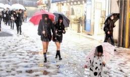 Nhật Bản không lắp sưởi ấm, làm sao nhiệt độ thấp nhất có thể là âm 30 độ? Sau khi đọc nó, nó là một sự gia tăng kiến ​​​​thức