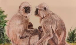 Cuối tuần này (13-14/5), top 3 con giáp nhận được vô số vận may, quý nhân phù trợ, tài lộc vượng phát, rộng đường thành công