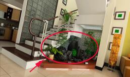 Trồng cây trong nhà, đừng đặt lung tung hay theo ý thích, để đúng 5 vị trí này giúp hút tài lộc, làm ăn vượng phát 