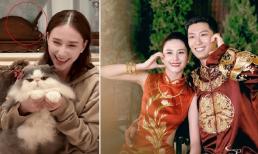 Phòng tân hôn của Đậu Kiêu và ái nữ 'trùm sòng bạc Macau' lần đầu lộ diện, lối trang trí sang trọng, có thang máy và đồ trang trí bằng ngọc giá trị 