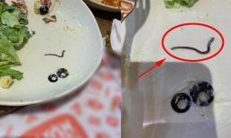 Thực khách có trải nghiệm kinh hồn khi chiêm ngưỡng 'sinh vật lạ' bò ngoe nguẩy trong đĩa salad