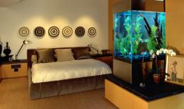 Đừng đặt những thứ này trong phòng ngủ của vợ chồng, khác nào mối quan hệ đã rạn nứt, hãy quay lại và thay đổi đi