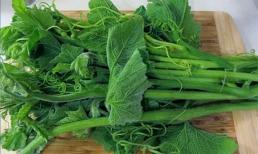 2 loại rau này có khả năng gây ung thư cao, mẹ đừng ăn nữa, hãy nói cho người thân biết càng sớm càng tốt nhé!