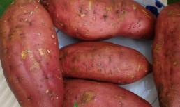 4 loại rau là 'kẻ thù không đội trời chung' của ung thư, súp lơ nằm trong danh sách, nên ăn cái cuối cùng mỗi ngày!