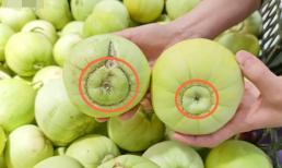 Khi mua dưa lê nên chọn rốn to hay rốn nhỏ? Nông dân trồng trái cây kỳ cựu: Chênh lệch lớn đấy, đừng mua nhầm nữa!