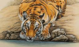 Cuối tuần này (20-21/5), top 3 con giáp vận may bùng nổ, tiền tràn vào túi, lộc phủ đầy nhà khiến ai cũng phải ghen tị