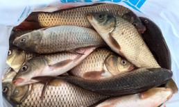 Chọn mua cá như thế nào, có phải cá càng to càng ngon? Lão ngư: 'Ghi nhớ 3 điểm, về sau đừng tùy tiện mua' 