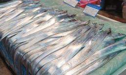 Loài cá bá đạo nhất thế giới 'tự tử' ngay sau khi bị bắt, nhiều người thích ăn thịt