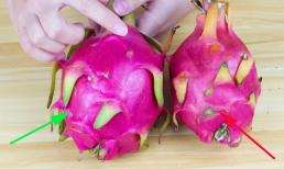 Thanh long chọn quả dài hay tròn? Chủ vườn chỉ cách lựa quả ngon, biết để tránh mua nhầm 