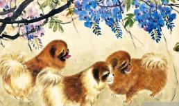 Người tuổi Tuất sinh vào những tháng này là cuộc đời khó khăn nhất! Bạn có nằm trong số đó?