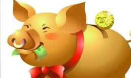 Người tuổi Hợi sinh vào giờ này sẽ gặp 3 tai họa trong đời! 