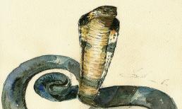 Cuối tuần này (3/6 - 4/6): top 3 con giáp may mắn ngập trong nhung lụa, gặp được quý nhân, tài lộc vun vút