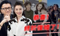 Lý do chính khiến Tạ Đình Phong ly hôn bị vạch trần? Trương Bá Chi: 'Tôi ghét loại con trai này'