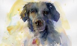 Tử vi tuần mới (5/6 - 11/6): top 3 con giáp phúc khí tràn về, cuộc sống giàu sang phú quý, tình duyên nở rộ