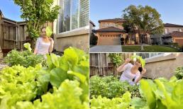 Diệu Hương hé lộ khu vườn đậm chất Việt của gia đình trên đất Mỹ