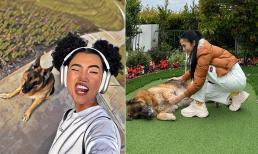 'Bản sao Lan Khuê' tiết lộ điểm thay đổi trùng hợp với chó cưng của bạn trai tỷ phú U80 người Mỹ