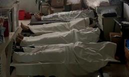 Hết hồn với hình ảnh của dân văn phòng, ngủ trưa mà cứ tưởng đang ở 'nhà xác'