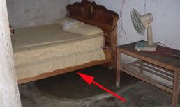 Vợ chồng mới cưới nên đặt dưới gầm giường 3 thứ để ít cãi vã, con cái đề huề 