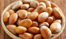 Loại hạt thường bị vứt đi này có tác dụng 'cải lão hoàn đồng', giá cực đắt ở Nhật 