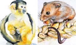 Tử vi 12 con giáp thứ 7 ngày 10/6/2023: Tuổi Tý may mắn, Thân gặp nhiều bất lợi