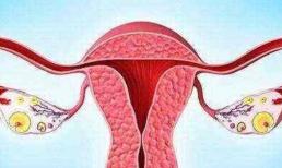 Ngoài khả năng sinh sản, tử cung còn có 3 chức năng chính, bạn có biết? Đàn ông biết rõ hơn