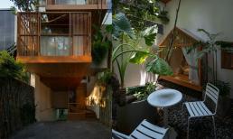 Nhà phố với thiết kế lệch tầng, nơi nào cũng tràn ngập ánh sáng và cây xanh 