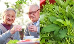 Loại 'rau trường thọ' được người Nhật ăn hàng ngày, ở Việt Nam bán với giá rẻ bèo, 2 ngàn đồng/mớ 