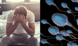 Nếu nhu cầu sinh lý của đàn ông lâu ngày không được giải tỏa thì tinh trùng sẽ đi đâu? Hầu hết mọi người có thể xấu hổ