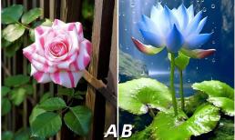 Trắc nghiệm tâm lý: Bạn thích loài hoa nào nhất, liệu cuộc đời bạn có trọn vẹn và hạnh phúc?