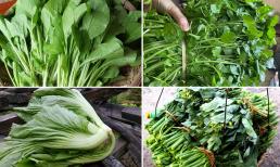Ăn bao nhiêu năm, liệu bạn đã gọi tên chính xác và phân biệt được 10 loại rau cải