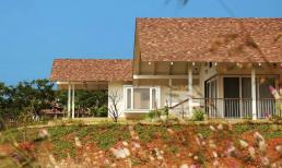 Thiết kế nhà cấp bốn mái ngói dân dã đẹp mê ly cho những ai muốn 'trốn phố về quê'