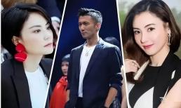 Trương Bá Chi thua Vương Phi không chỉ vì tình yêu của Tạ Đình Phong, đây là lý do thực sự