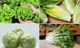 Xà lách có bao nhiêu loại, bạn có biết? Tác dụng của việc ăn xà lách đối với sức khỏe